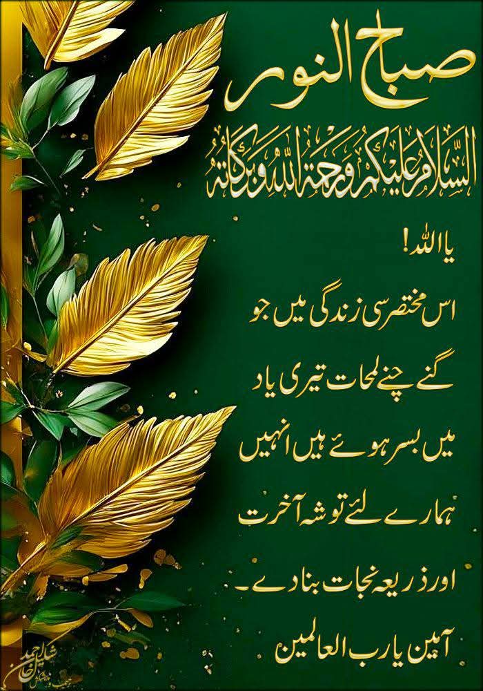 ━━╬٨ـﮩﮩ❤٨ـﮩﮩـ╬━❤️❥❥═══البساطة | النمط | مادة ══ tweet media