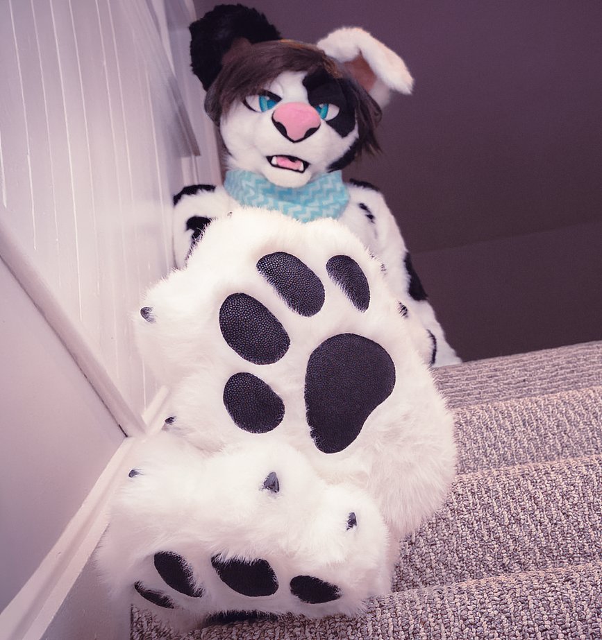 Dally Doggo tweet media