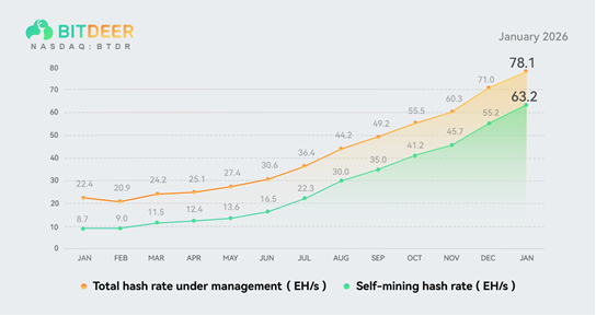zerohedge's tweet photo. a word from our sponsor: Remember when the halving was supposed to kill public miners? Meanwhile, Bitdeer just recorded 226% revenue growth, EBITDA positive, and an expanding energy footprint to 3 GW.

Bitdeer now accounts for roughly 7% of the global Bitcoin hash rate.