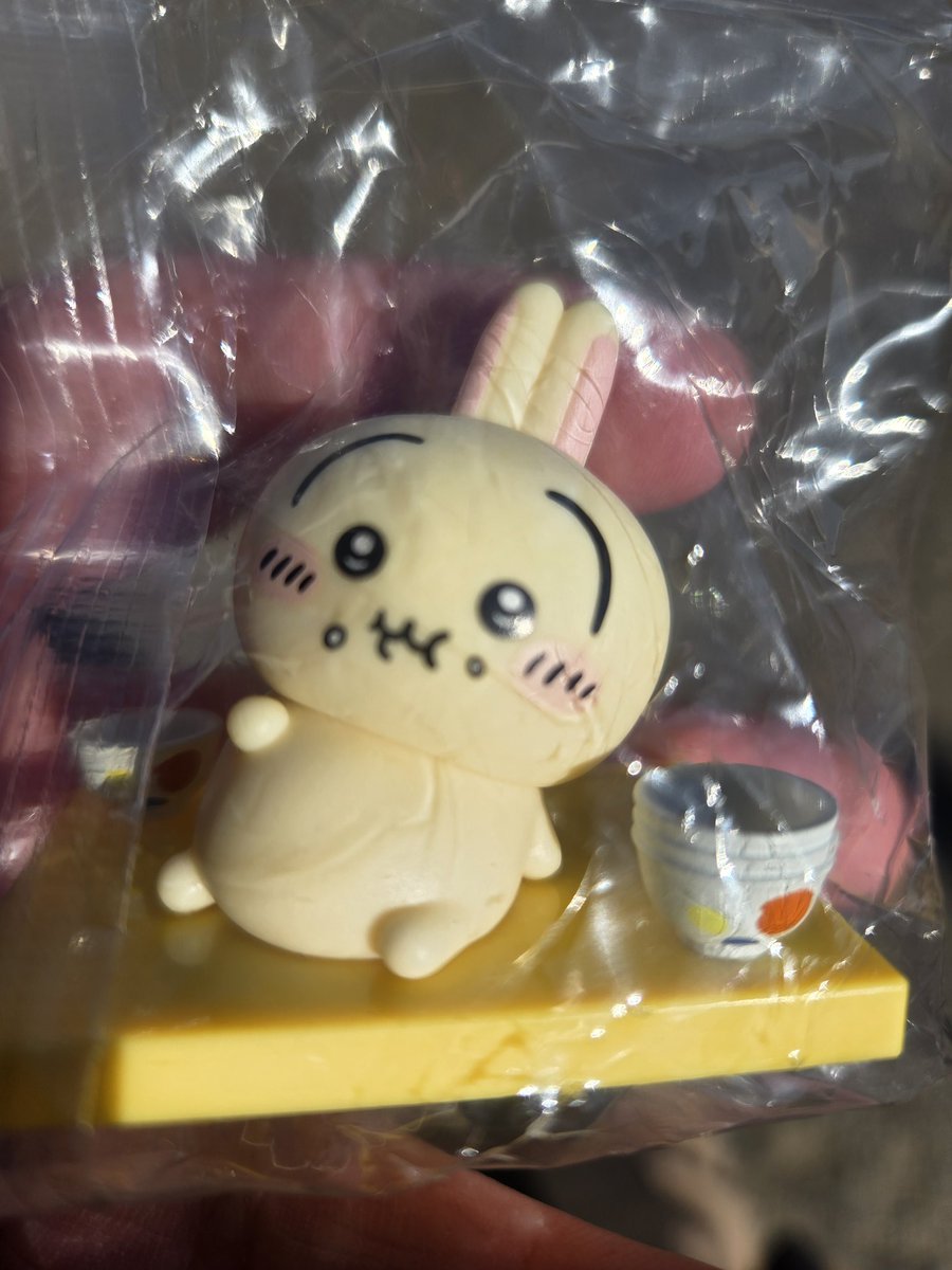 私がうさぎを求めてると知って、派遣さんがゲットしてくれた🤲