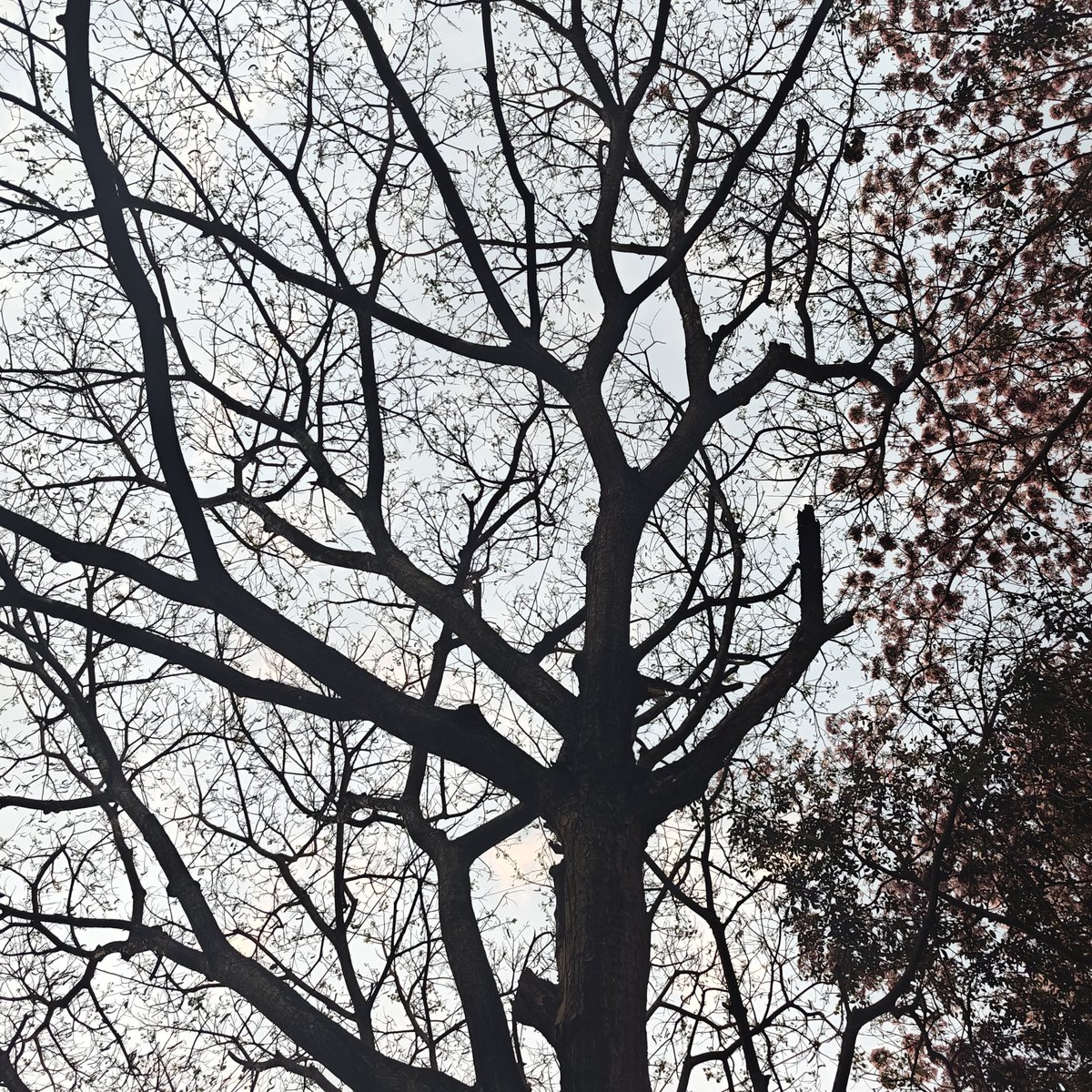 kunal jaykam tweet media