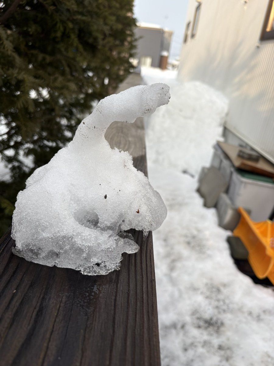 雪だるまがETに変形してた。
#札幌の気温が上がった