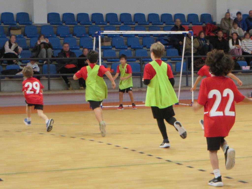 Delegación Provincial de Balonmano de Salamanca tweet media