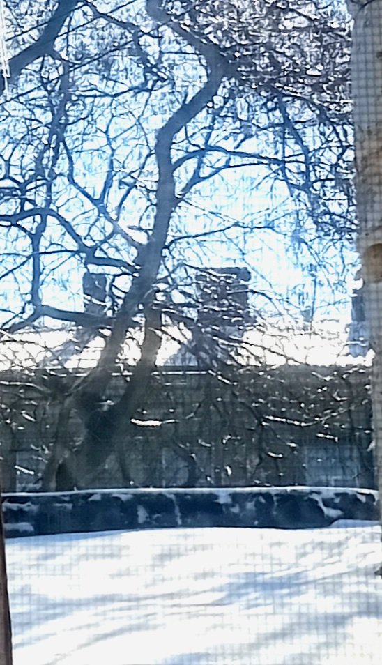 Катерина Галич tweet media