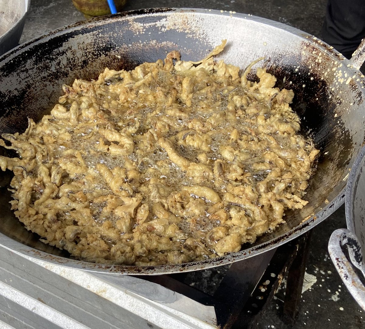 I N D R I tweet media