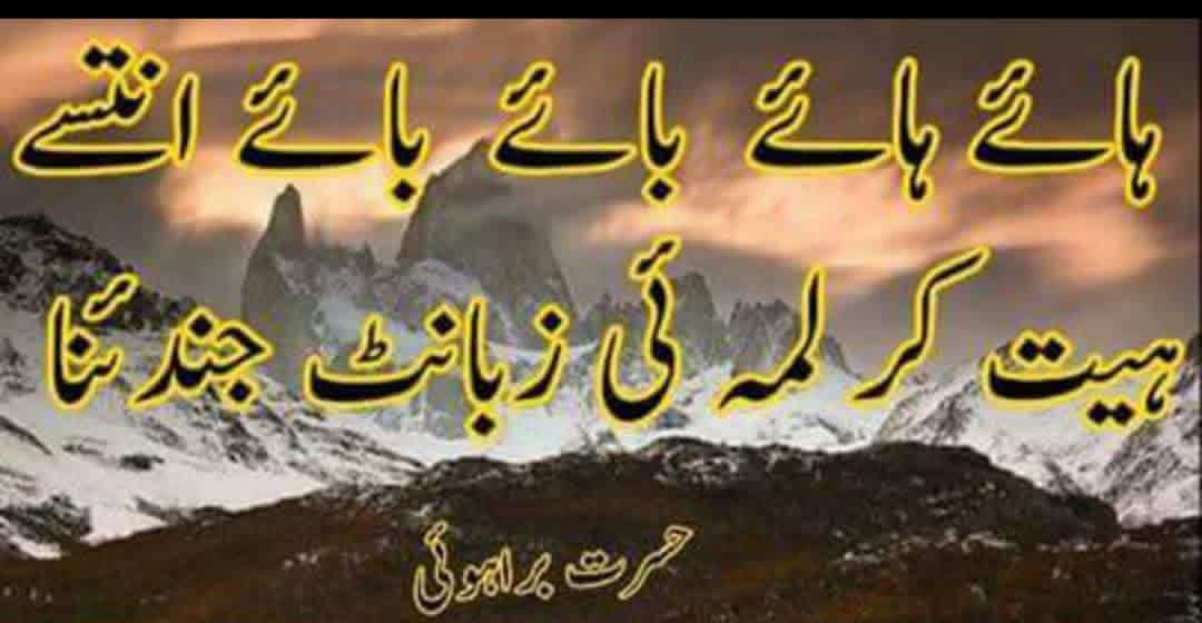 Brahui_group's tweet photo. براہوئی بولی قومی بولی
21فروری مادری زبانوں کا عالمی دن میری 
پہچان میری مادری زبان براہوئی  ❤
@highlight #براہوئی #براہوئی_قوم #براہوئی_بولی_قومی_بولی #براوئی_زبان #براہوئی_گرپ_پاکستان #Brahui #brahui_group_pakistan #brahui_language https://t.co/tKGiNV4LRS