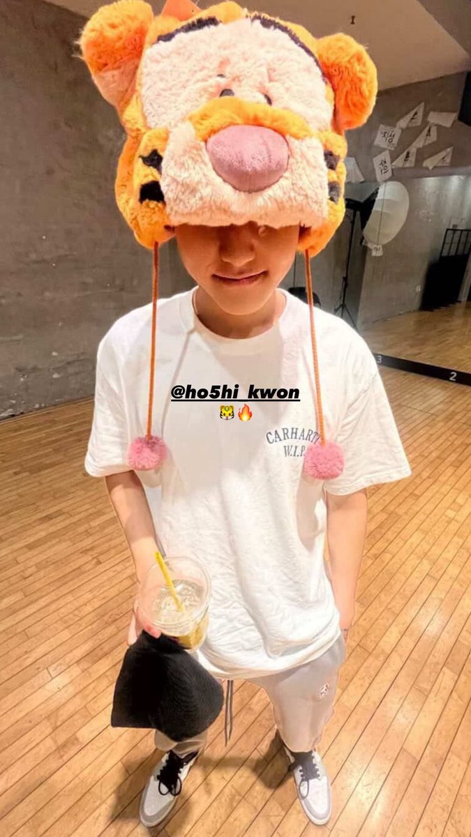 haceence2's tweet image. RT @horanghaeBK: Hoshi’s tiger agenda is becoming more real 😭🐯