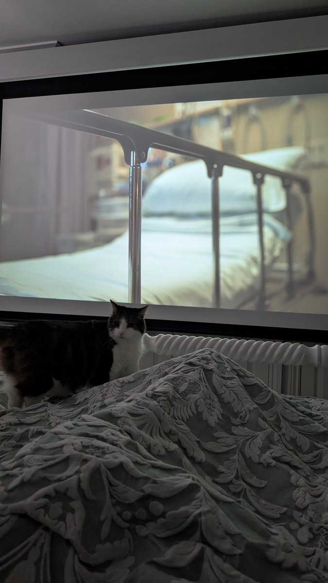 Benjamin tweet media