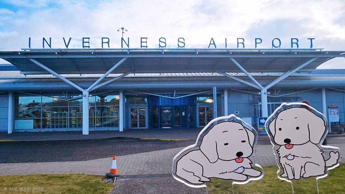 ˞͛ᖰ마리ᖳ˞͛ tweet media