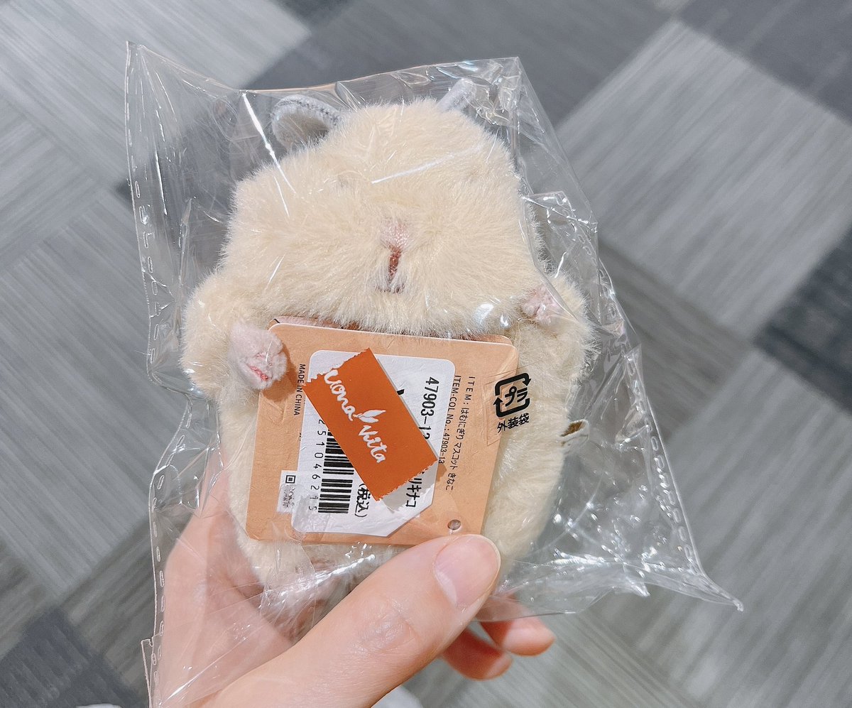 ねぇ私もうお金ないよ………💸 キンクマの「キナコ」だって🐹 私も昔