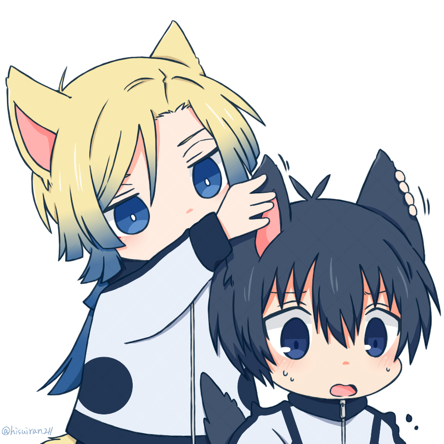 kiis 🐱