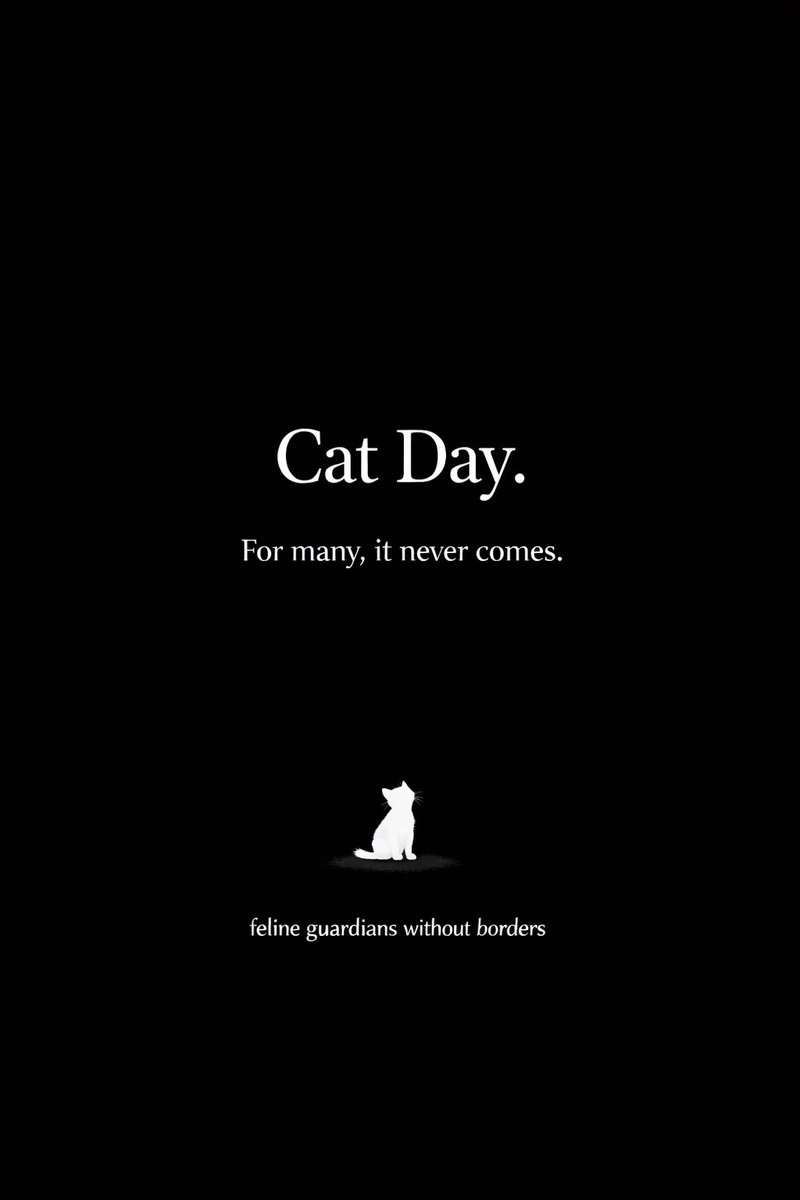 prettyy_bxbyy's tweet image. 🐈20/Feb celebrate "cat's day." But the reality is that there is nothing to celebrate. There is an international network that is spreading videos, photos and gifs of extreme torture against cats and is growing. #StopCatTortureInChina #FelineGuardians #CatDay #ChinaTortureAnimals