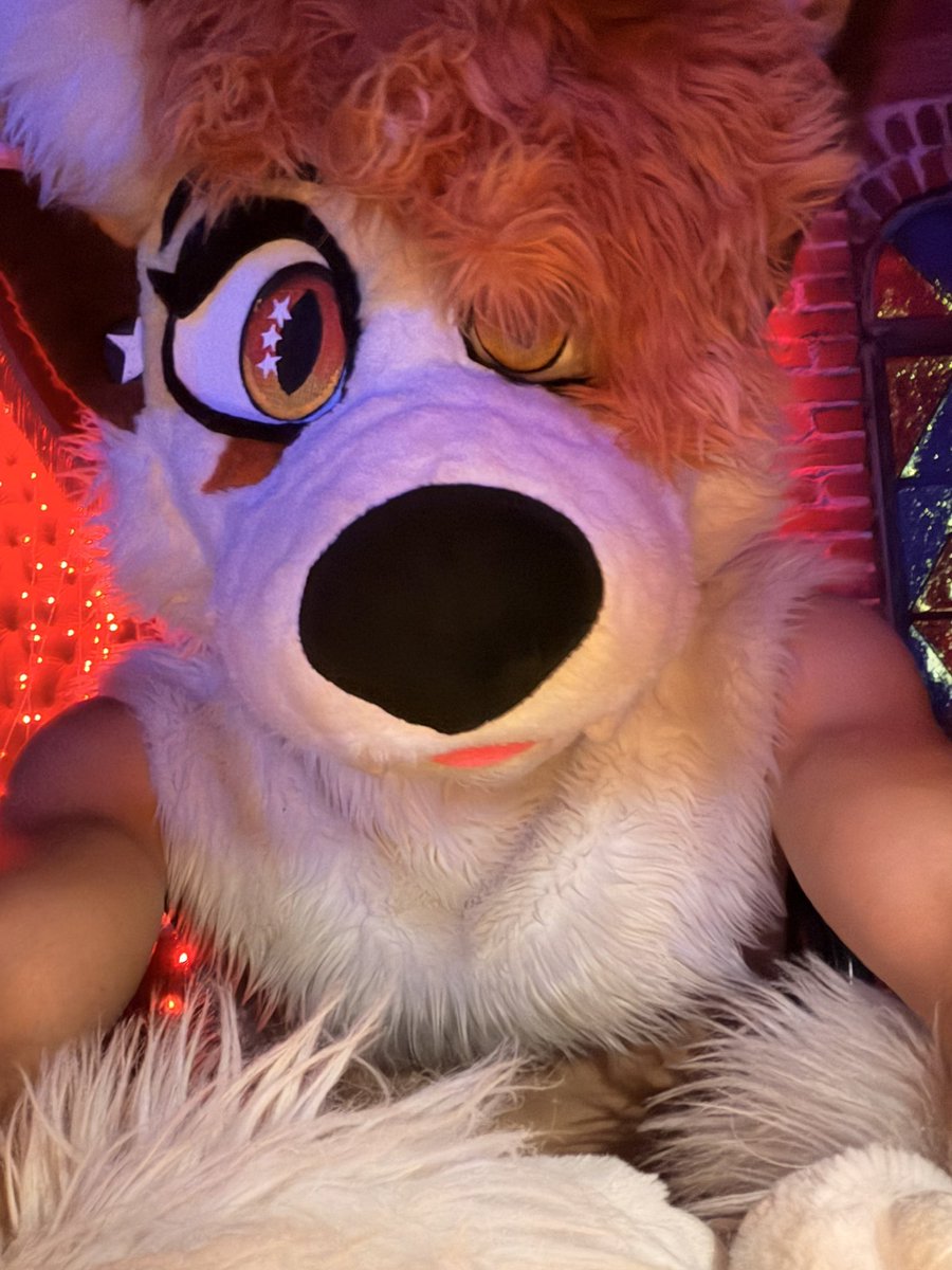 FoxyJamz🔜 ̅F̅̅W̅̅A̅ tweet media