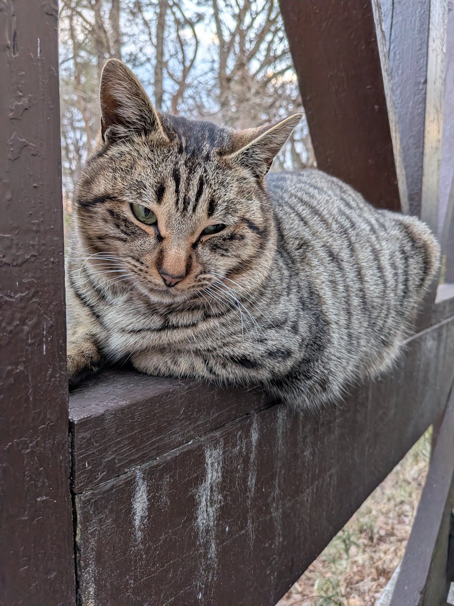 TKW jepang tweet media