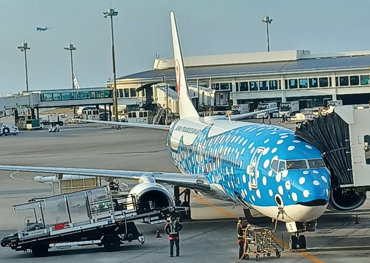 #JAL
#JTA
JAL系での生涯搭乗回数
999回目はこれ。
往路便と同じ機体ですね～
来週には1,000回いきそう。
元気で旅ができていることに感謝です。