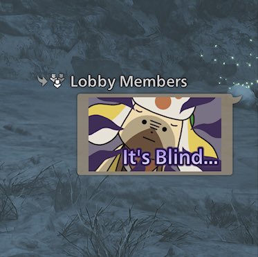 Someone tried to flash Gore 3 times in one of my quests and another quest member hit them with this and I lost it