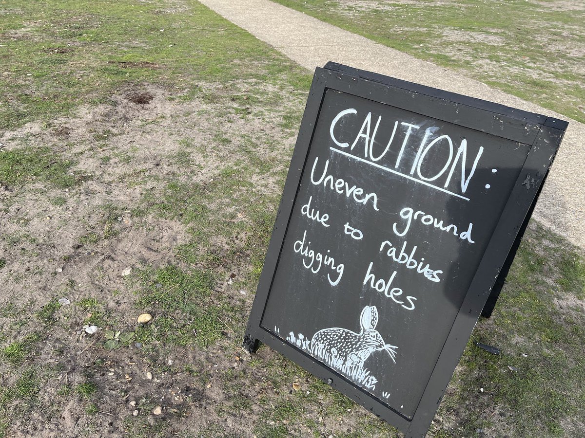 lingosia's tweet image. Twisted or broken ankle? Blame it on those pesky rabbits... @pmj_photos    #PMJWeeklyChallenge #TuttingTypography