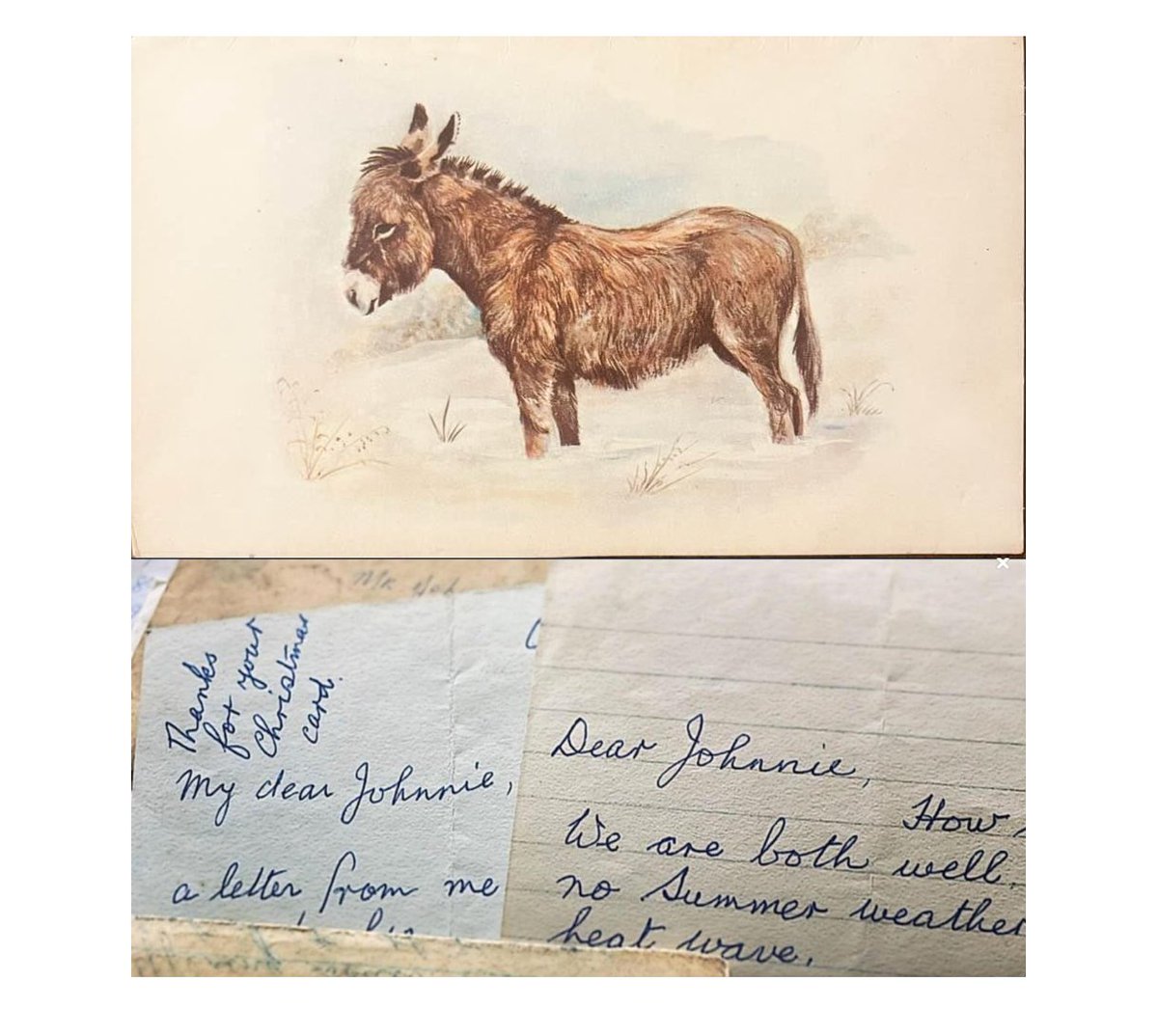 Curtailed Rambler tweet media