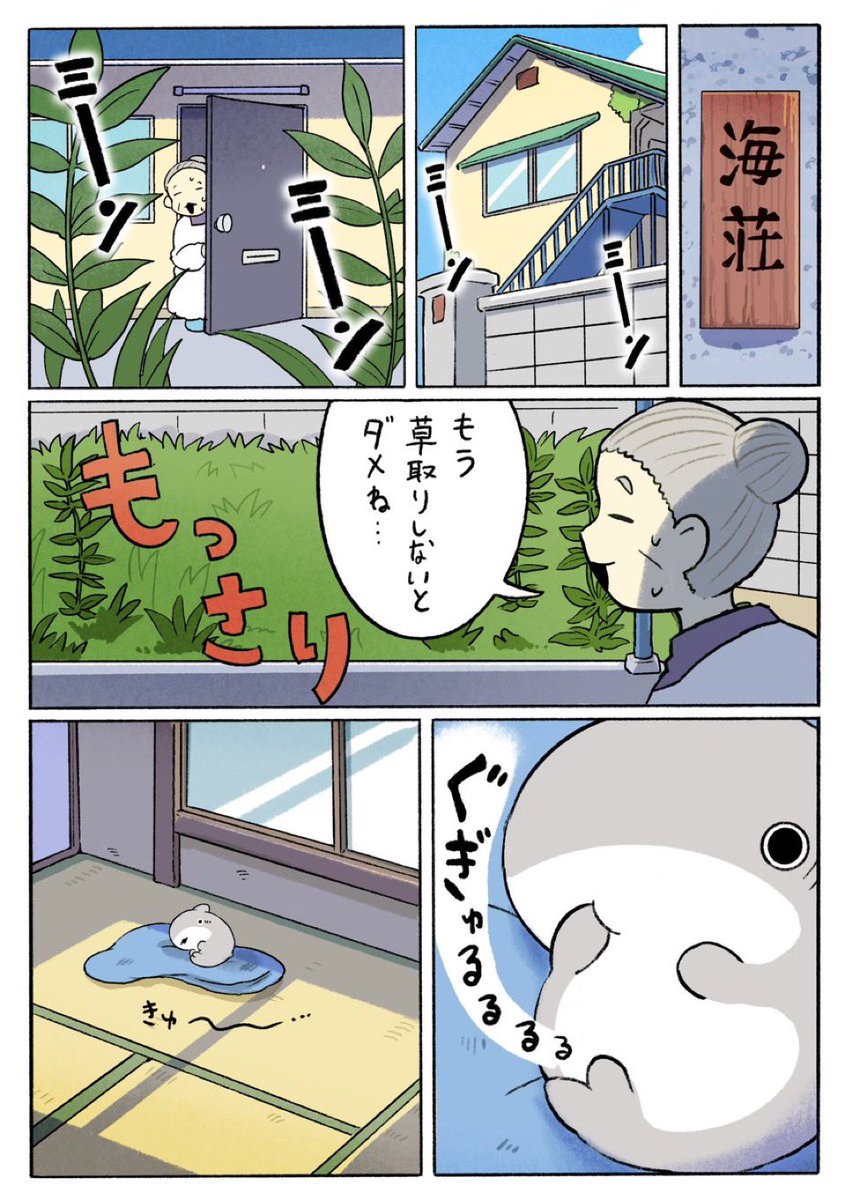 Penguinbox1's tweet image. 子ザメのひとりぐらし　はじめての…　1/3