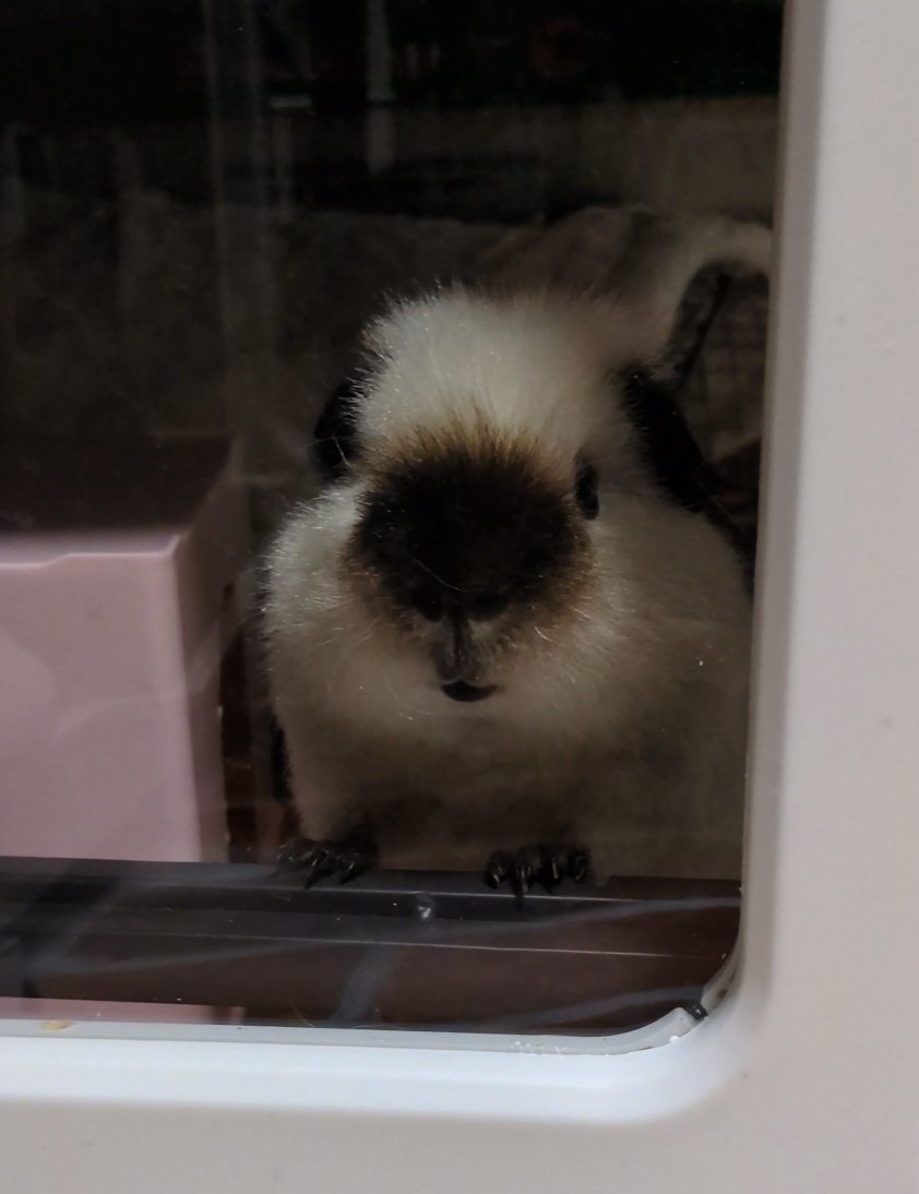 ann(ﾓﾙﾓﾙ) tweet media