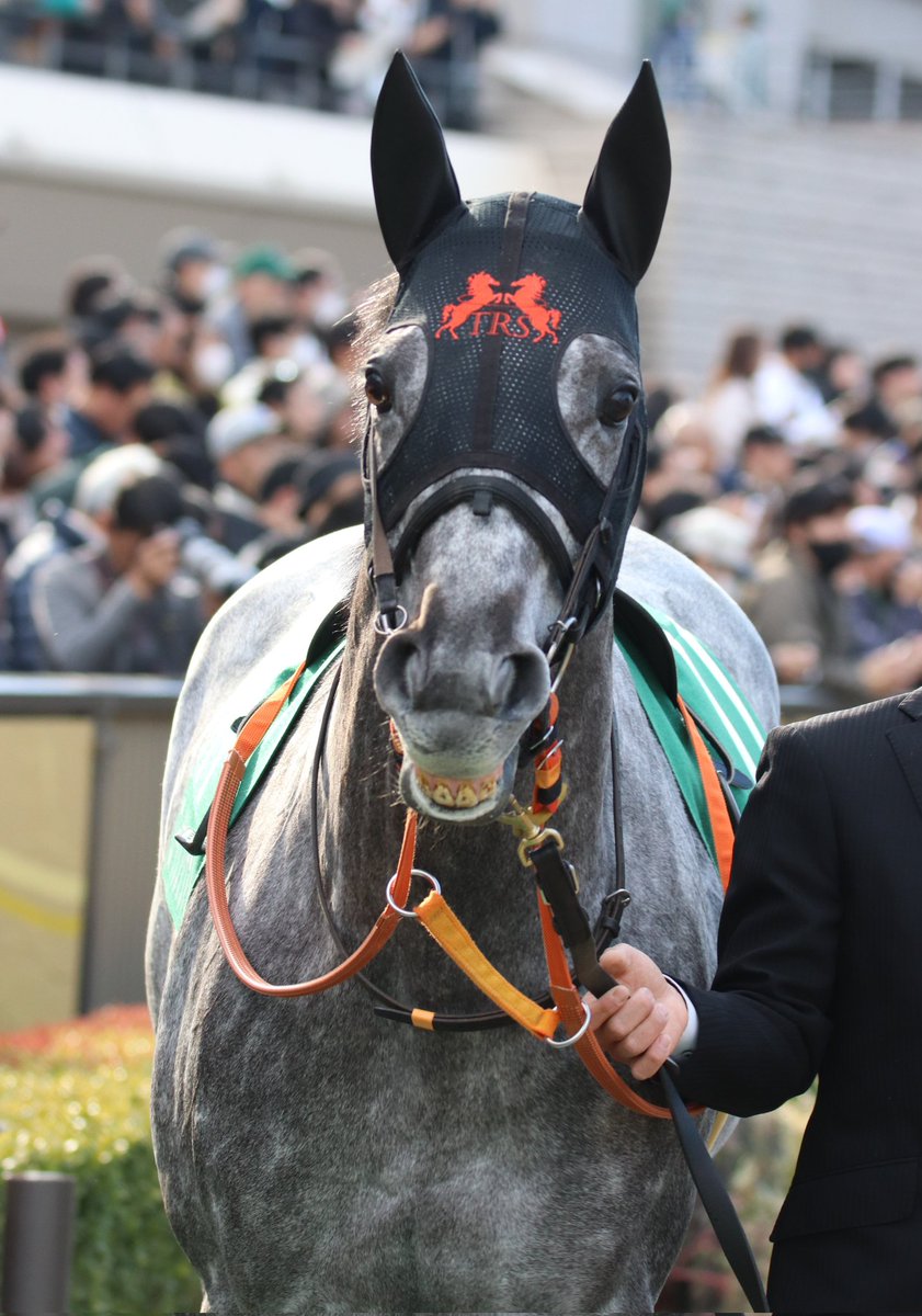 す𓃗✩*⋆ tweet media