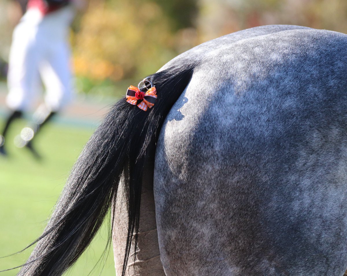 す𓃗✩*⋆ tweet media