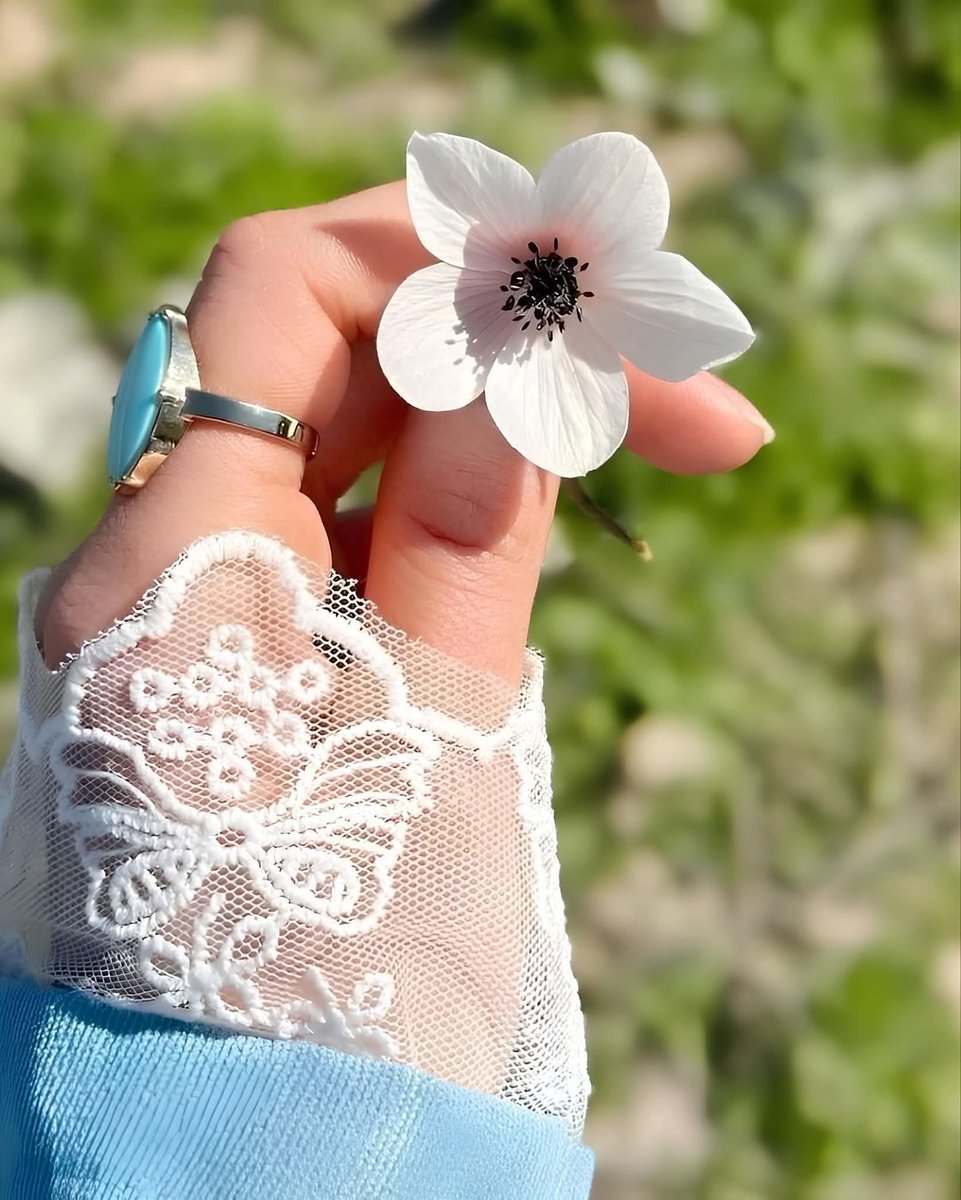 ♡♡
اللَّهُمَّ اُرْزُقْنَا السَّعَادَة وَرَاحَة الْبَال 
وَطُمَأْنِينَةِ الْقَلْبِ وَبَشَّرْنَا بِأُجْمل الْإِقْدَارُ 🤍
صباحكن🌹
# 🦋