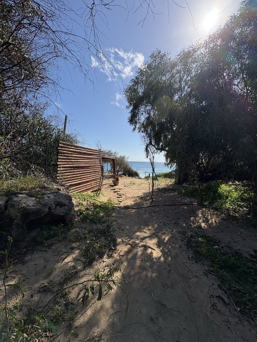 Unioner Zuppo tweet media