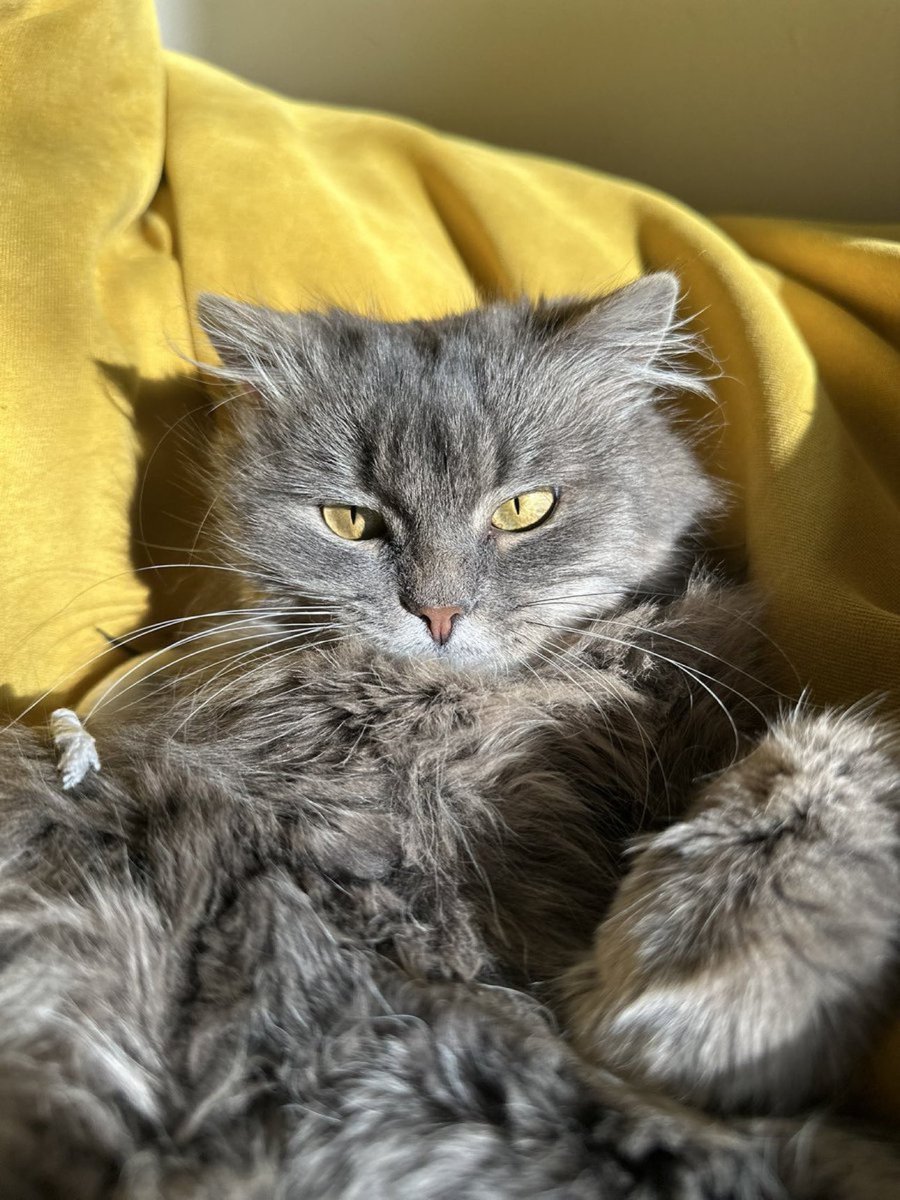 любов робить дива!
<a href="/kira__sunshine/">Kira Sunshine🇺🇦</a> зробила з бідосі розкіш