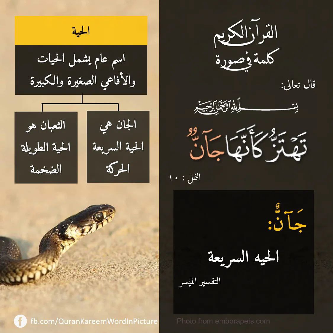 طه إبراهيم الكارم tweet media