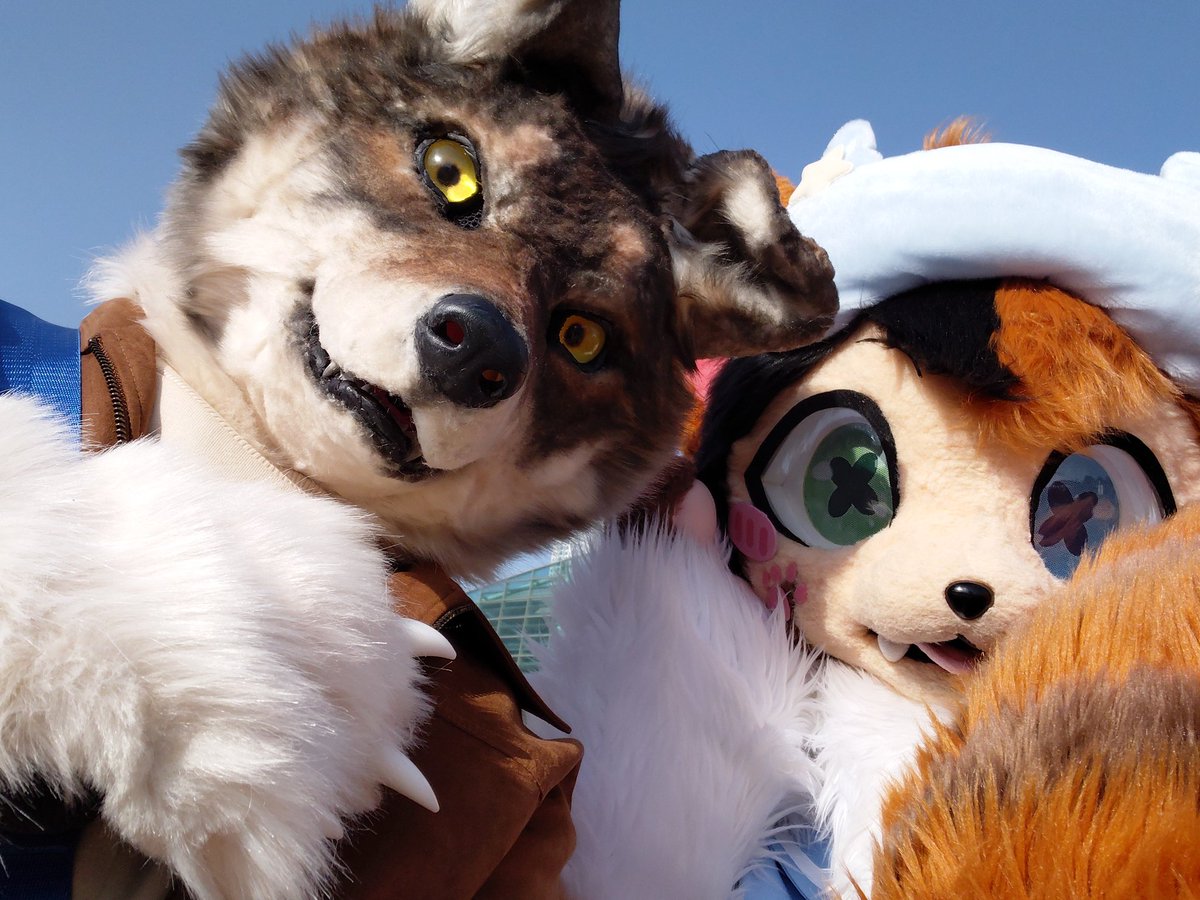 똥개의 반란 tweet media