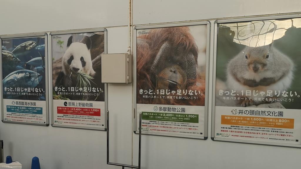 今後上野の看板は誰が背負うんだろう