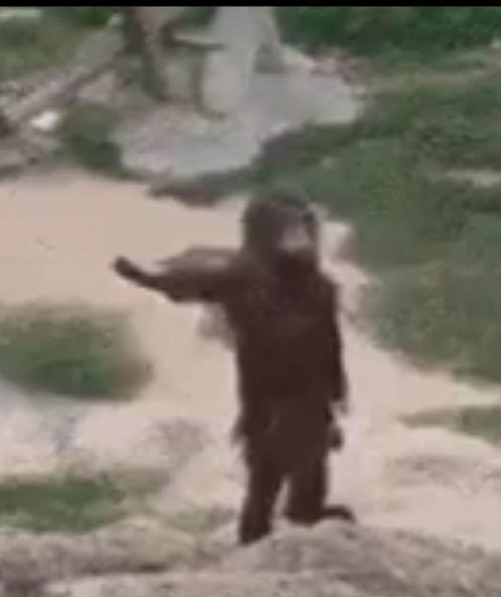 Adesola241388's tweet image. Algorithm: 30 impression, 2 likes? 
Me: gbewa 😭 😂