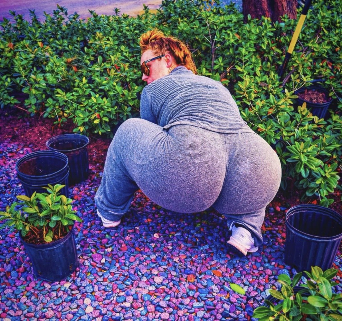 PlanetBBW (@planetbbw_) on Twitter photo 