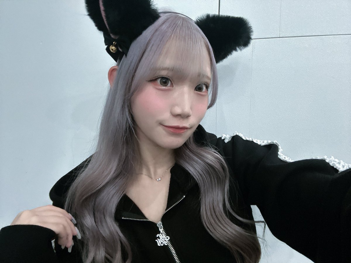 Post by えむ on X: にゃん🐈🐾