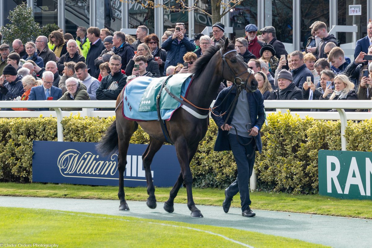 UnderOrdersPhotography tweet media