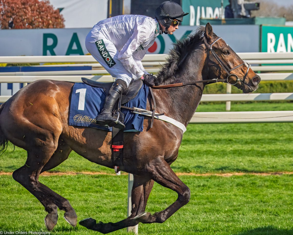 UnderOrdersPhotography tweet media