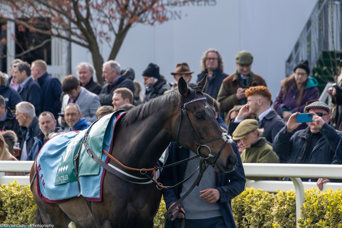 UnderOrdersPhotography tweet media