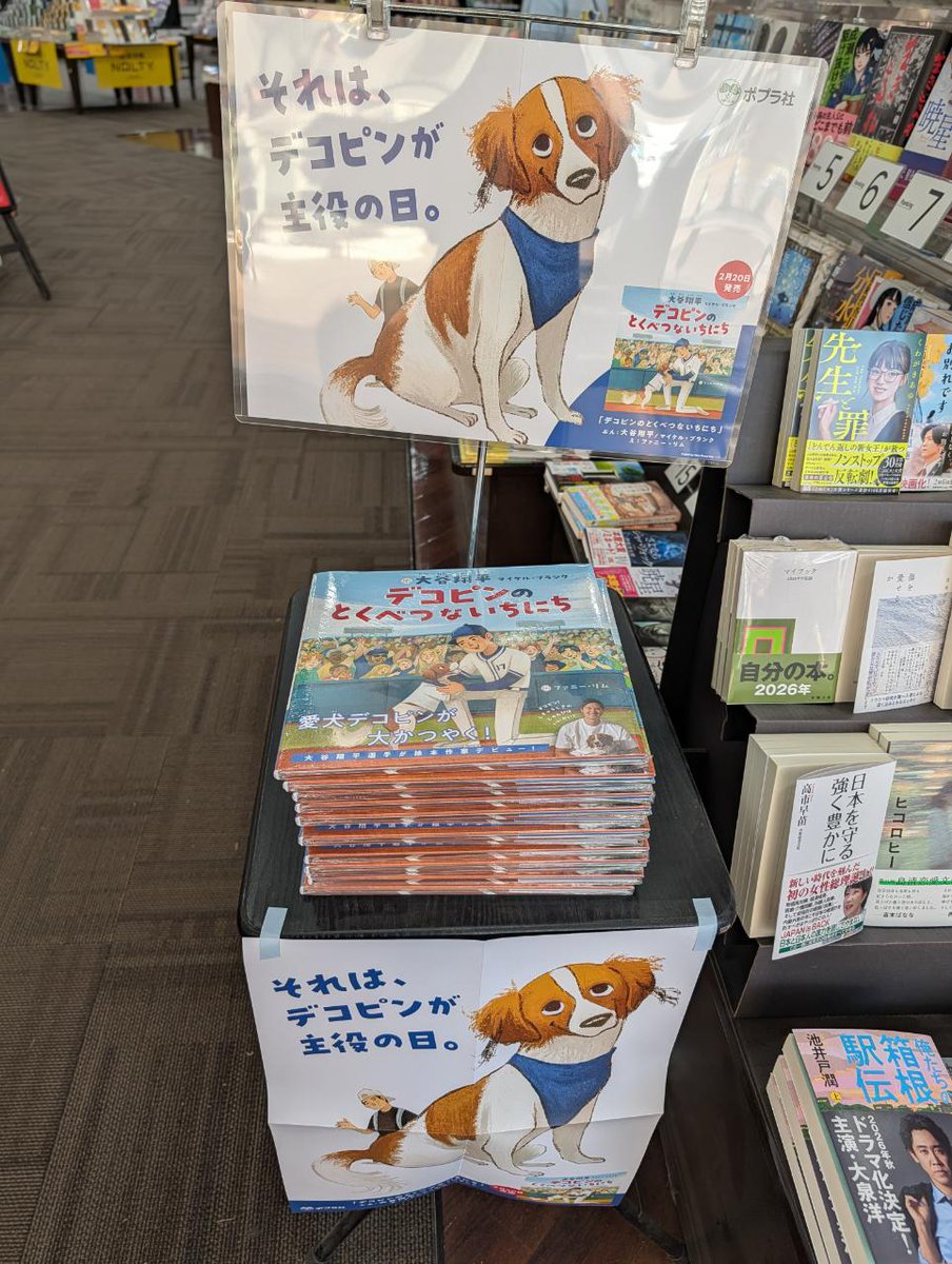 本】 『デコピンのとくべつないちにち』 #ポプラ社 本日入荷しました