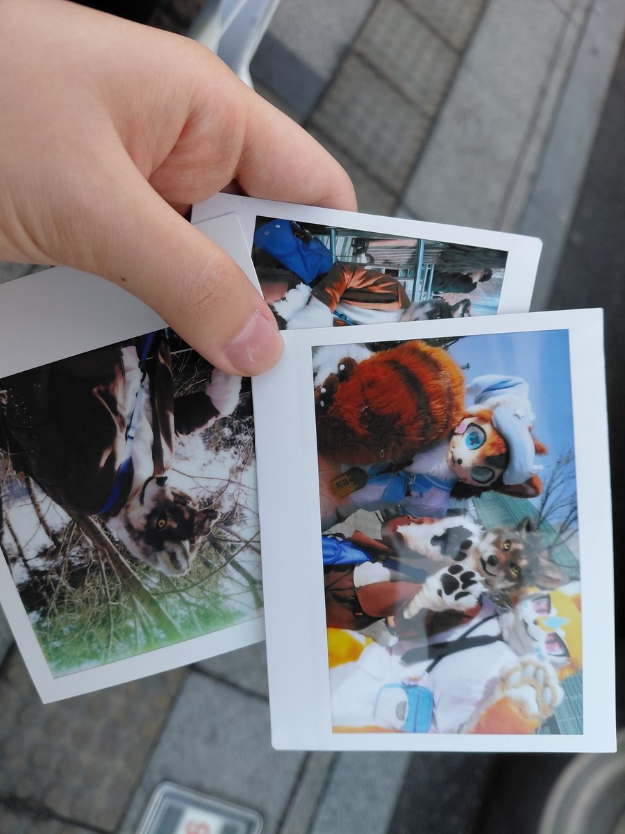 똥개의 반란 tweet media