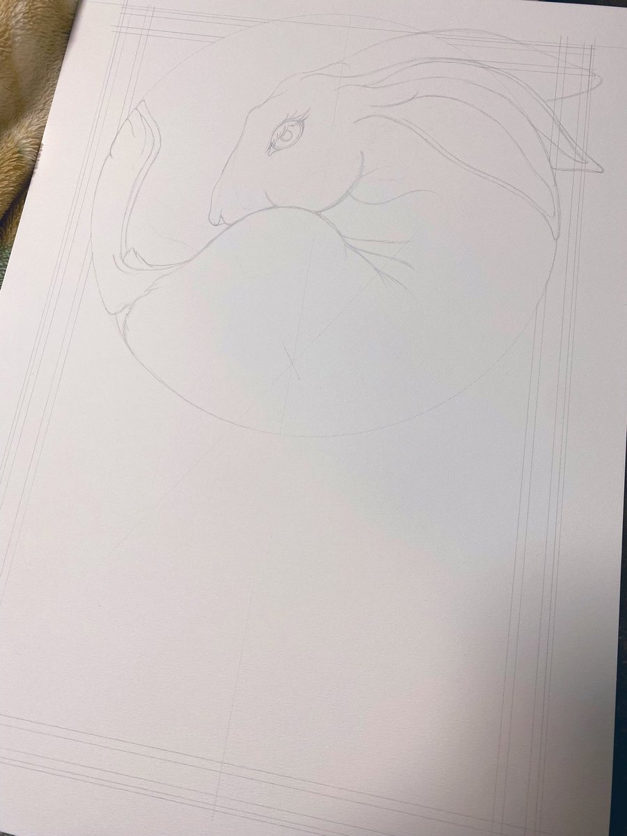 はじまりはここから
久々に三つ耳うさぎ