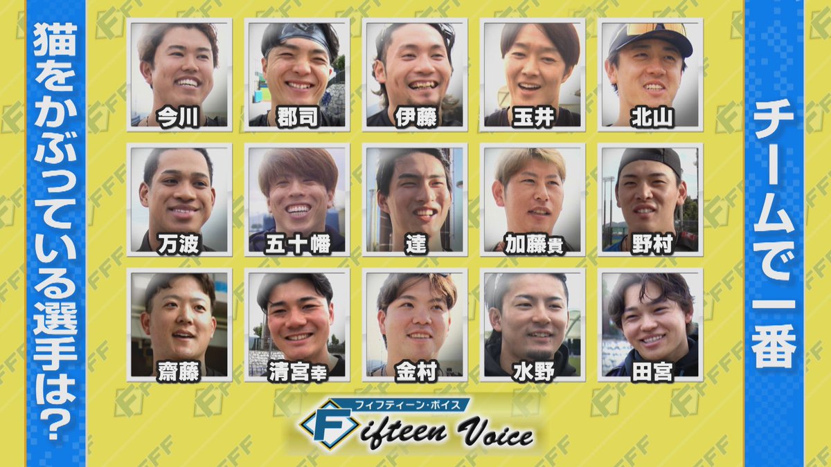 HTBスポーツ tweet media