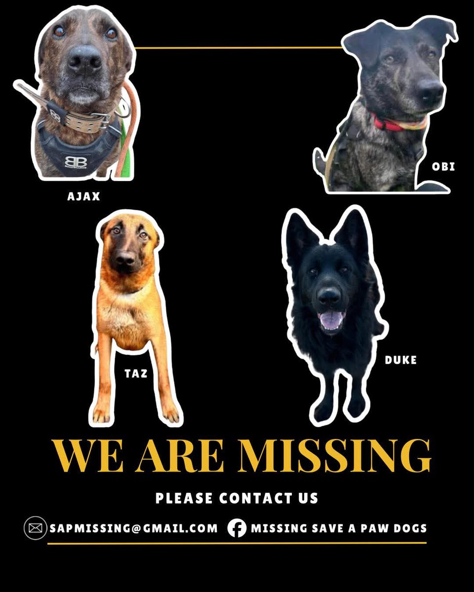 Missing Pets GB tweet media