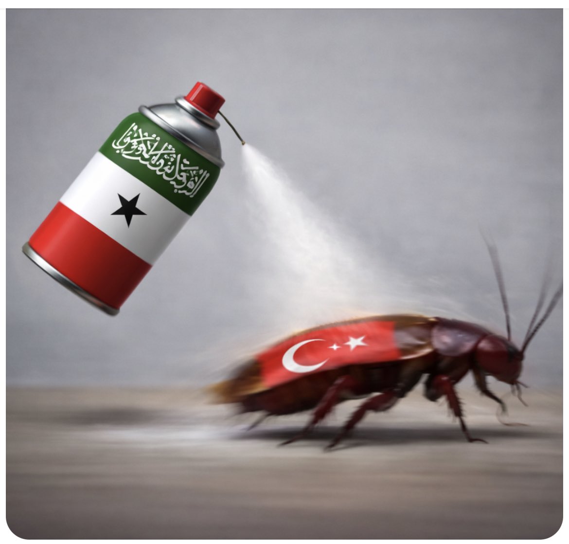 𝓢𝓾𝓪𝓭 ✿.• صوماليلاند tweet media