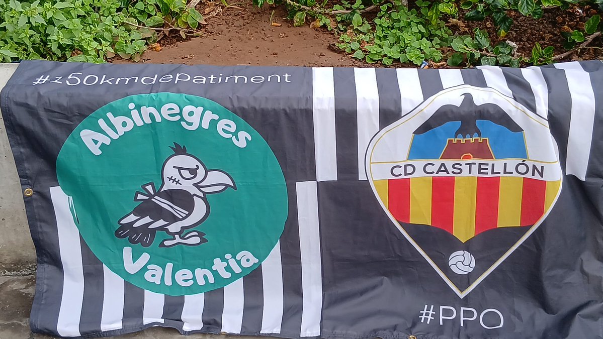 <a href="/AlbinegresValen/">AlbinegresValentia</a> a Las Palmas per animar al <a href="/CDCastellon/">CD Castellón</a> .
Gran el nostre Roberto !!