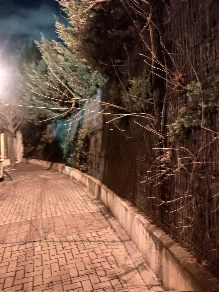 Buenos días <a href="/AytoLeganes/">Ayuntamiento de Leganés</a> .
✂️ Ramas que sobresalen más de lo debido en el vallado perimetral del #PabellonLaFortuna llegando a poner en riesgo a las vecinas/os del barrio, especialmente de noche. 
El mantenimiento también es seguridad . 🌳🚧