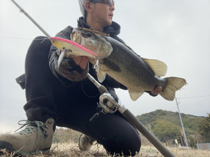 tukajii's tweet photo. 【クールフォト賞】
ハネモノもバスもよく撮れてる「クールな写真」に、クールフォト賞としてロゴステッカーを差し上げます（ただし、魚の扱いの悪さがない事、撮影に時間を掛けてなさそうである事）
ぜひカックイイ写真撮ってください😇

※添付はクールな写真の例（過去のエントリー）

#デカハネGP https://t.co/mqP55hH95H