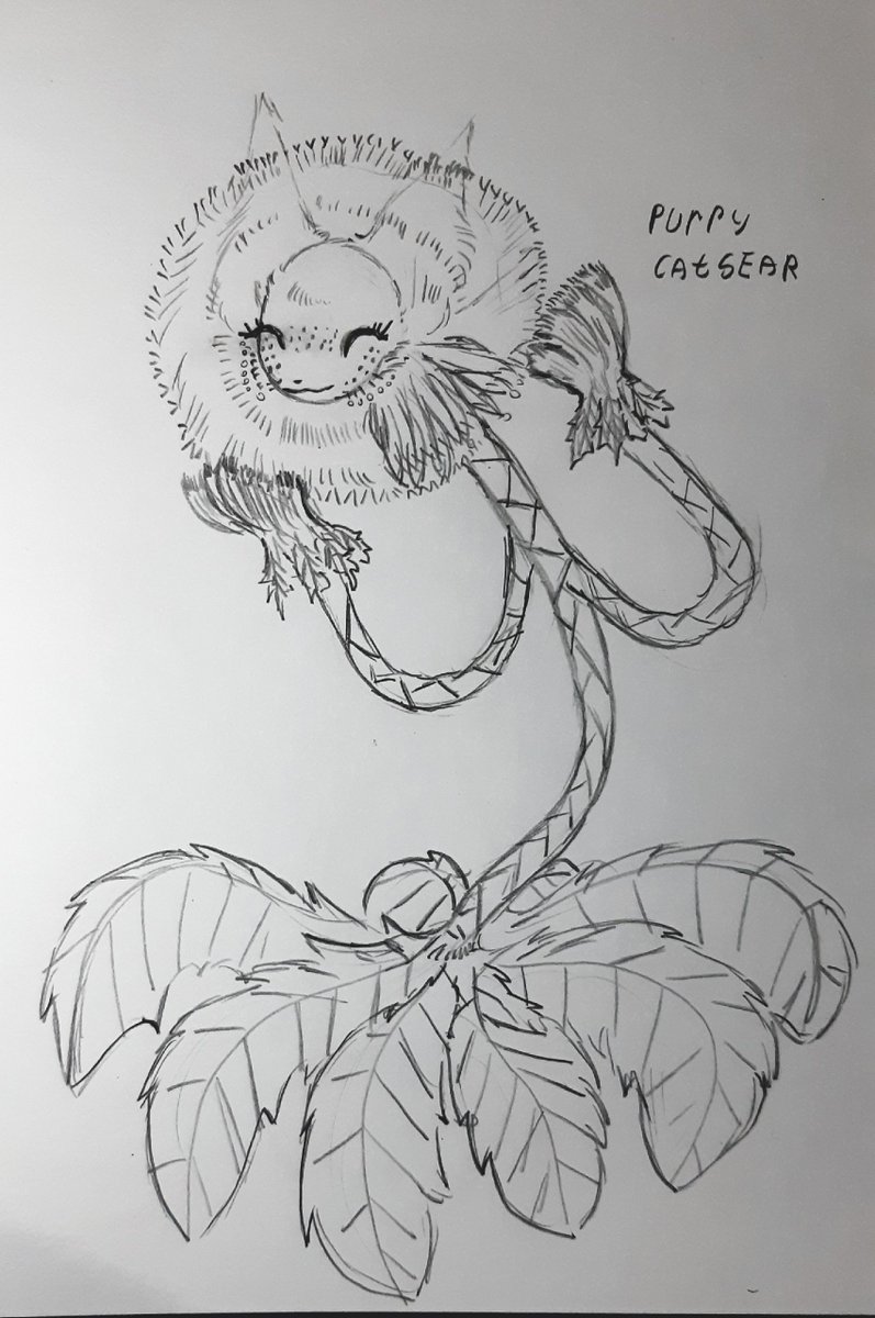 Featuring a very lovely art gift of Purry I received ~ 
🎨 Drawn by Veat-vest on DeviantArt

Check them out:
deviantart.com/veat-vest

#pvzoc #pvz #plantsvszombies