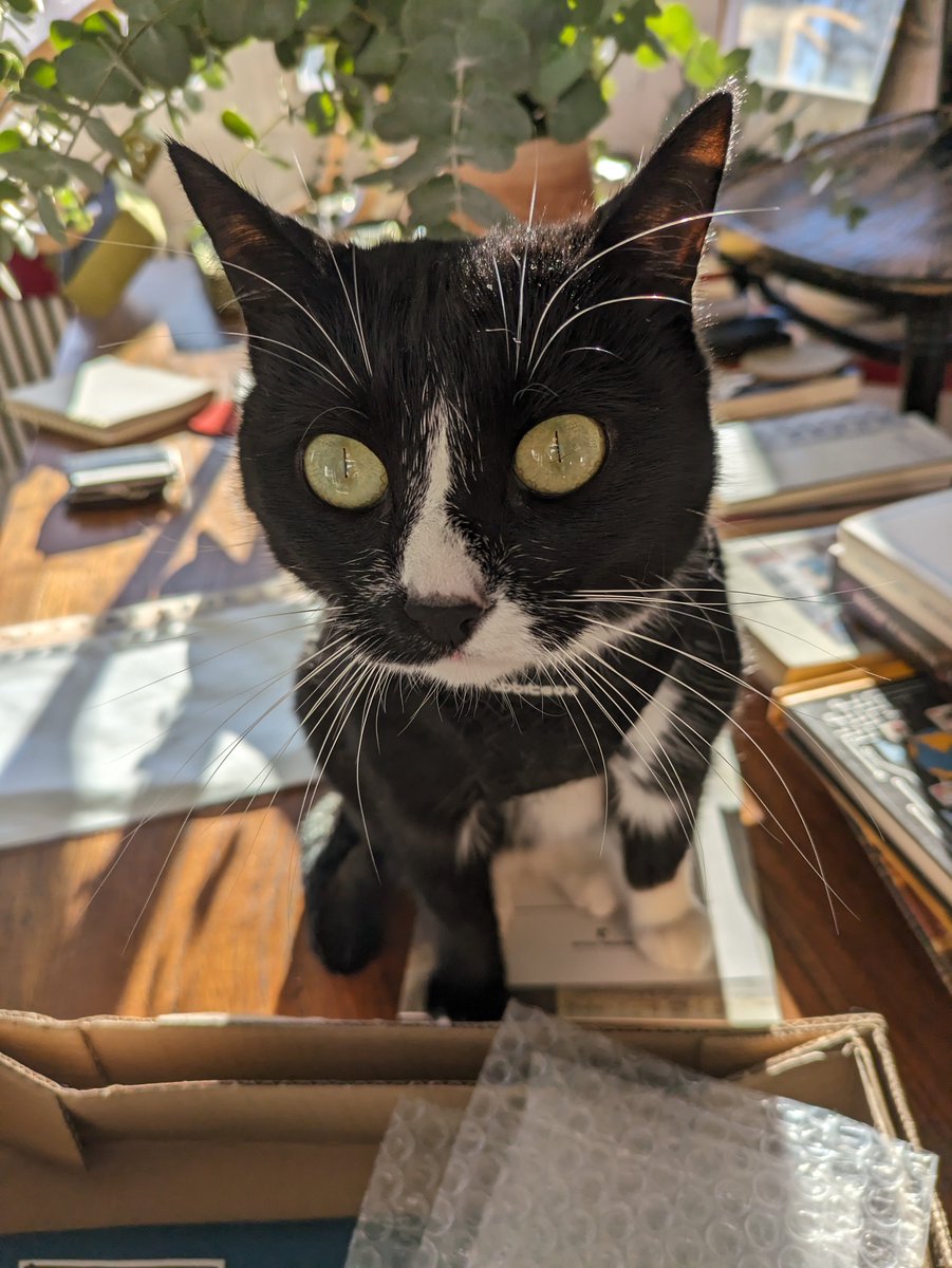 Marta Peirano tweet media