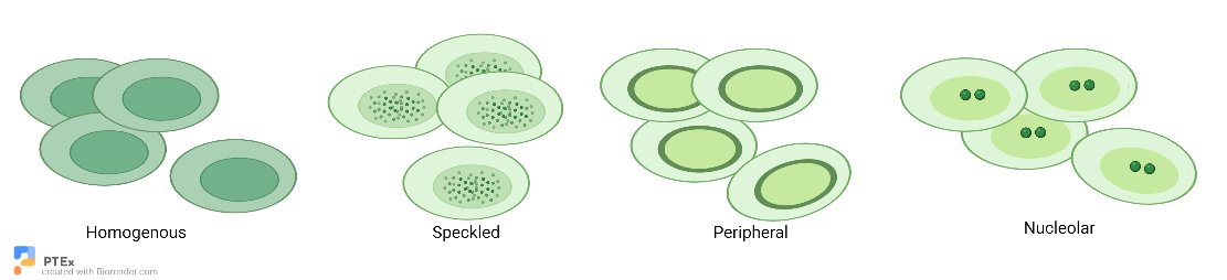 PathologyTestsExplained tweet media